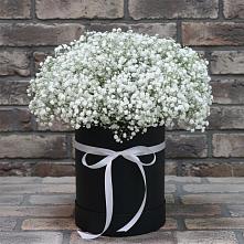Цветочная композиция из Гипсофила в шляпной коробке #REPLACE_PRED# Смирных