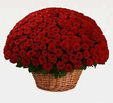 Премиум букет из: Розы в Смирных